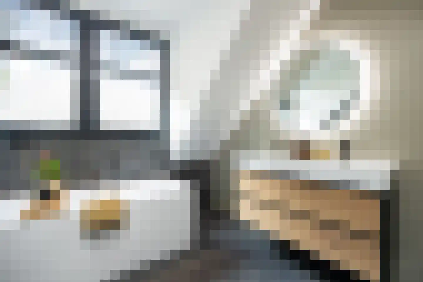 Biestsestraat 56 A Biest-Houtakker thumbnail 29