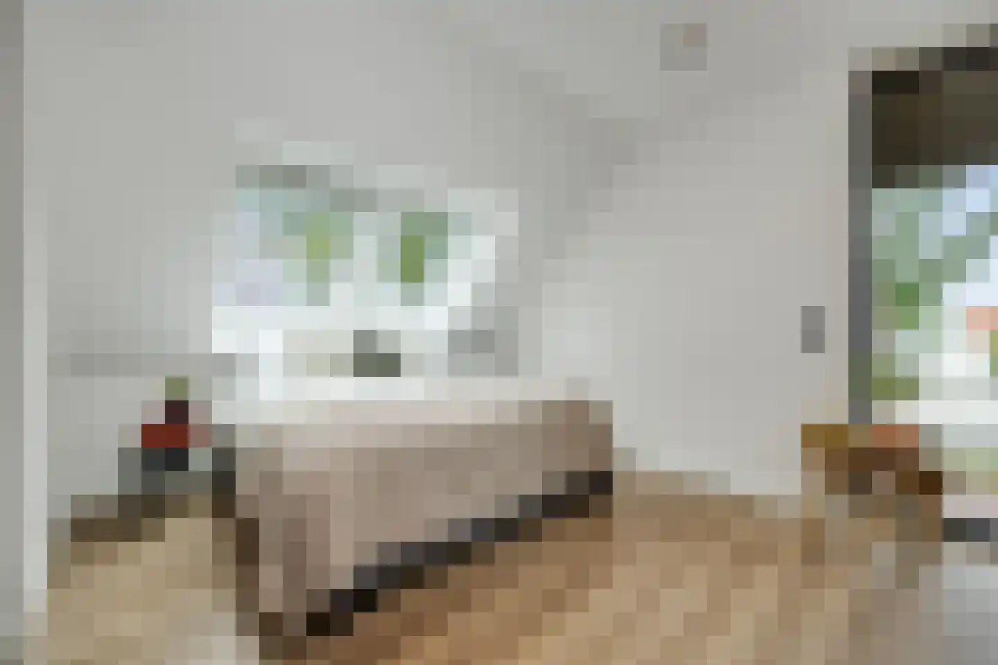Biestsestraat 56 A Biest-Houtakker thumbnail 30