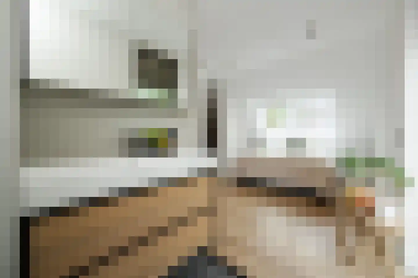 Biestsestraat 56 A Biest-Houtakker thumbnail 31