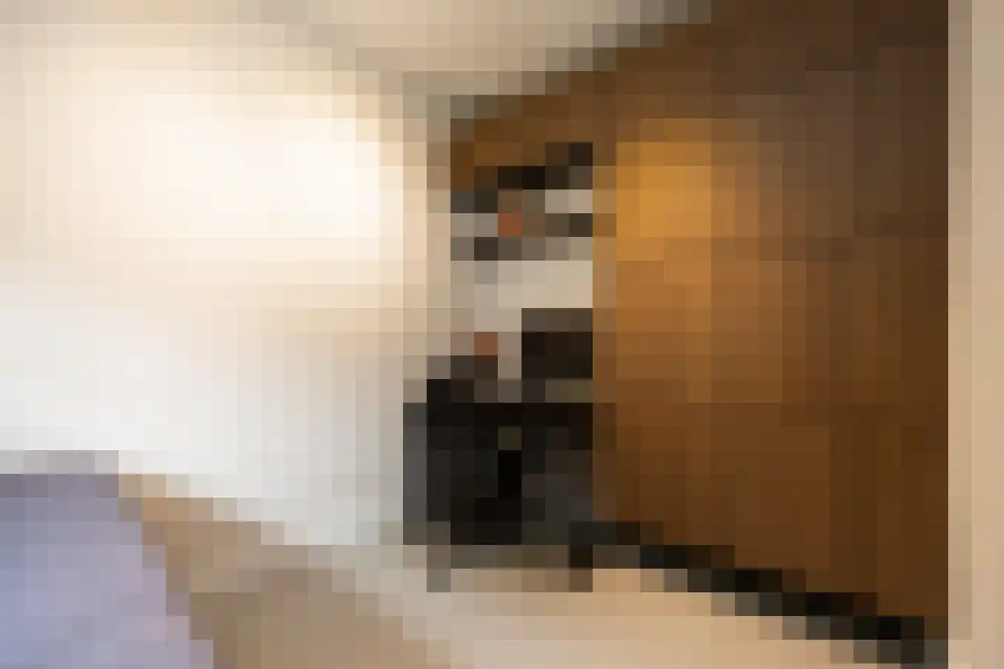 Biestsestraat 56 A Biest-Houtakker thumbnail 6