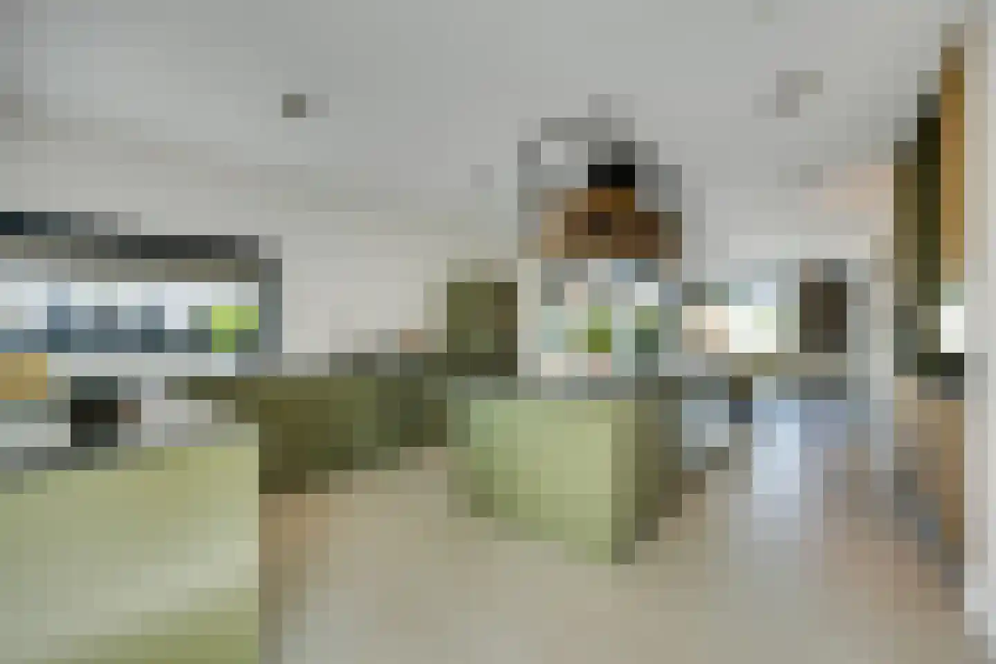 Biestsestraat 56 A Biest-Houtakker thumbnail 8