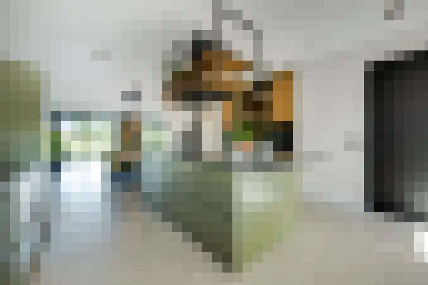 Biestsestraat 56 A Biest-Houtakker thumbnail 9