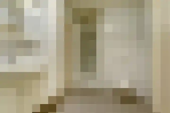 Biestsestraat 59 Biest-Houtakker thumbnail 16