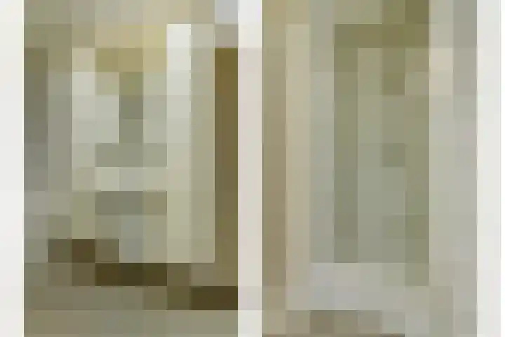 Biestsestraat 59 Biest-Houtakker thumbnail 17