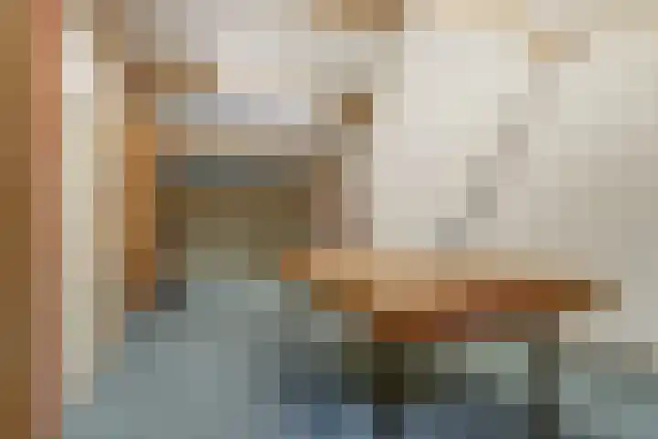 Biestsestraat 59 Biest-Houtakker thumbnail 28