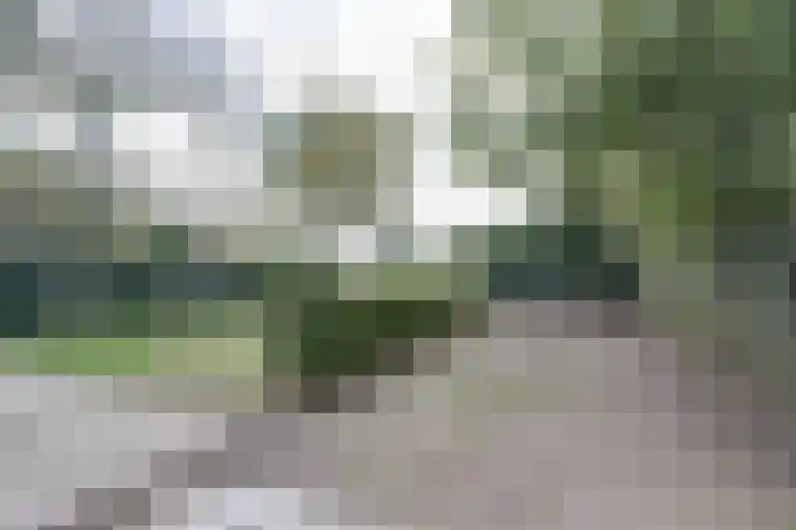 Biestsestraat 59 Biest-Houtakker thumbnail 33