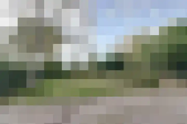 Biestsestraat 59 Biest-Houtakker thumbnail 34