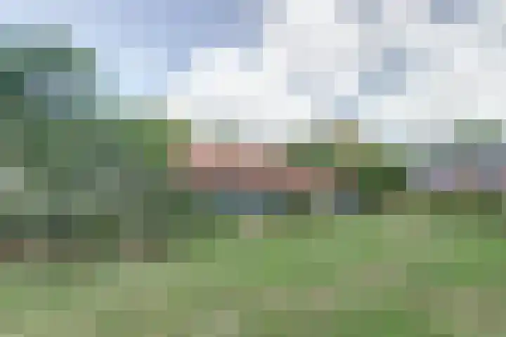 Biestsestraat 59 Biest-Houtakker thumbnail 35