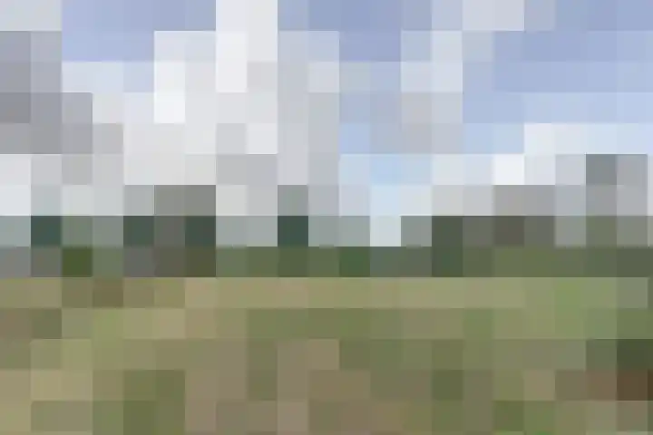 Biestsestraat 59 Biest-Houtakker thumbnail 36