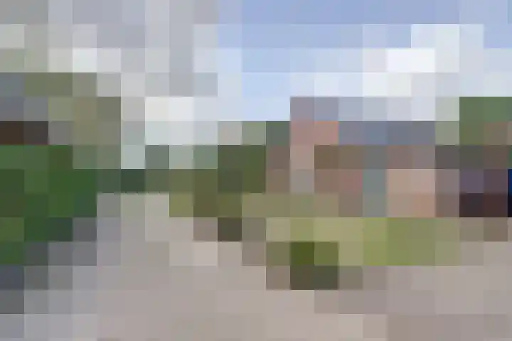 Biestsestraat 59 Biest-Houtakker thumbnail 5