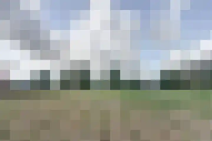 Biestsestraat 59 Biest-Houtakker thumbnail 6