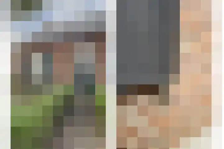 Biestsestraat 59 Biest-Houtakker thumbnail 8
