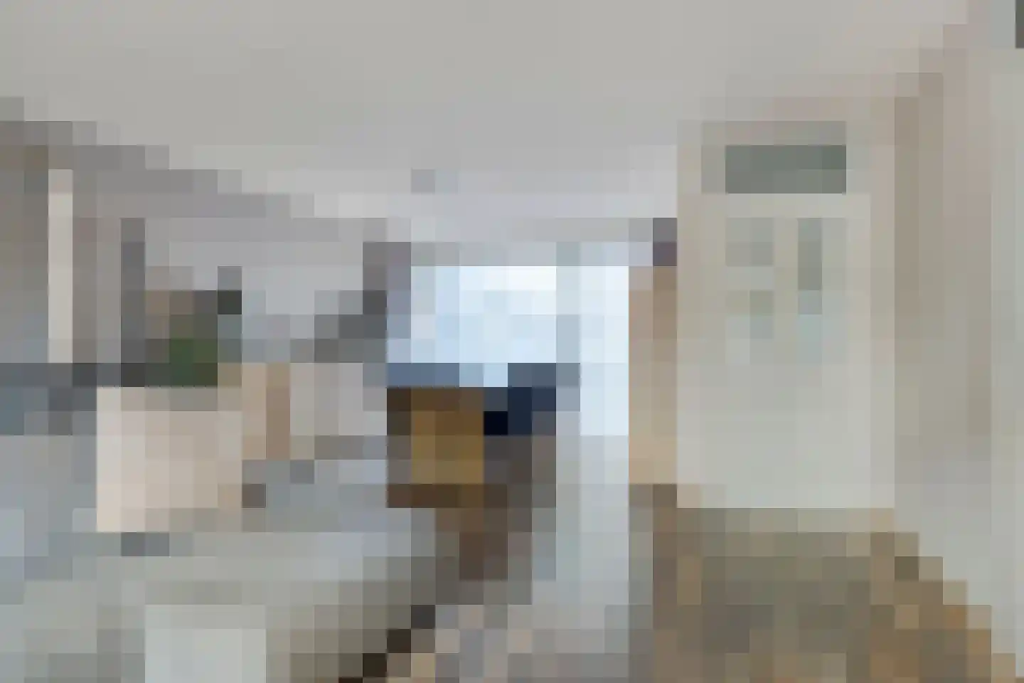 Biesveld 17 Rijsbergen thumbnail 12