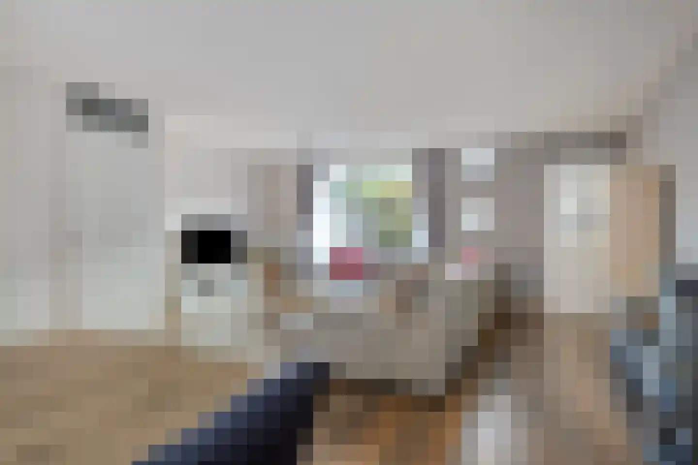 Biesveld 17 Rijsbergen thumbnail 13