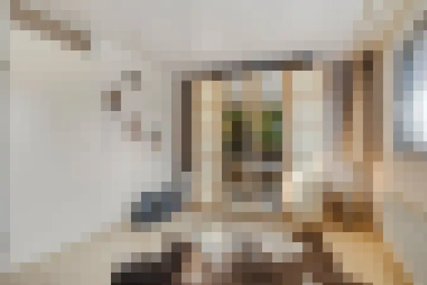 Biesveld 17 Rijsbergen thumbnail 22