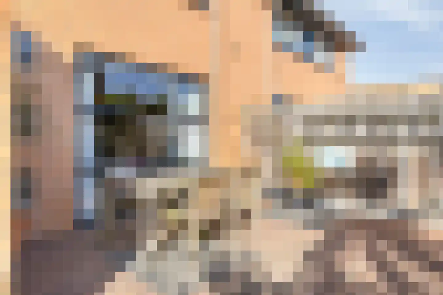 Biesveld 17 Rijsbergen thumbnail 6