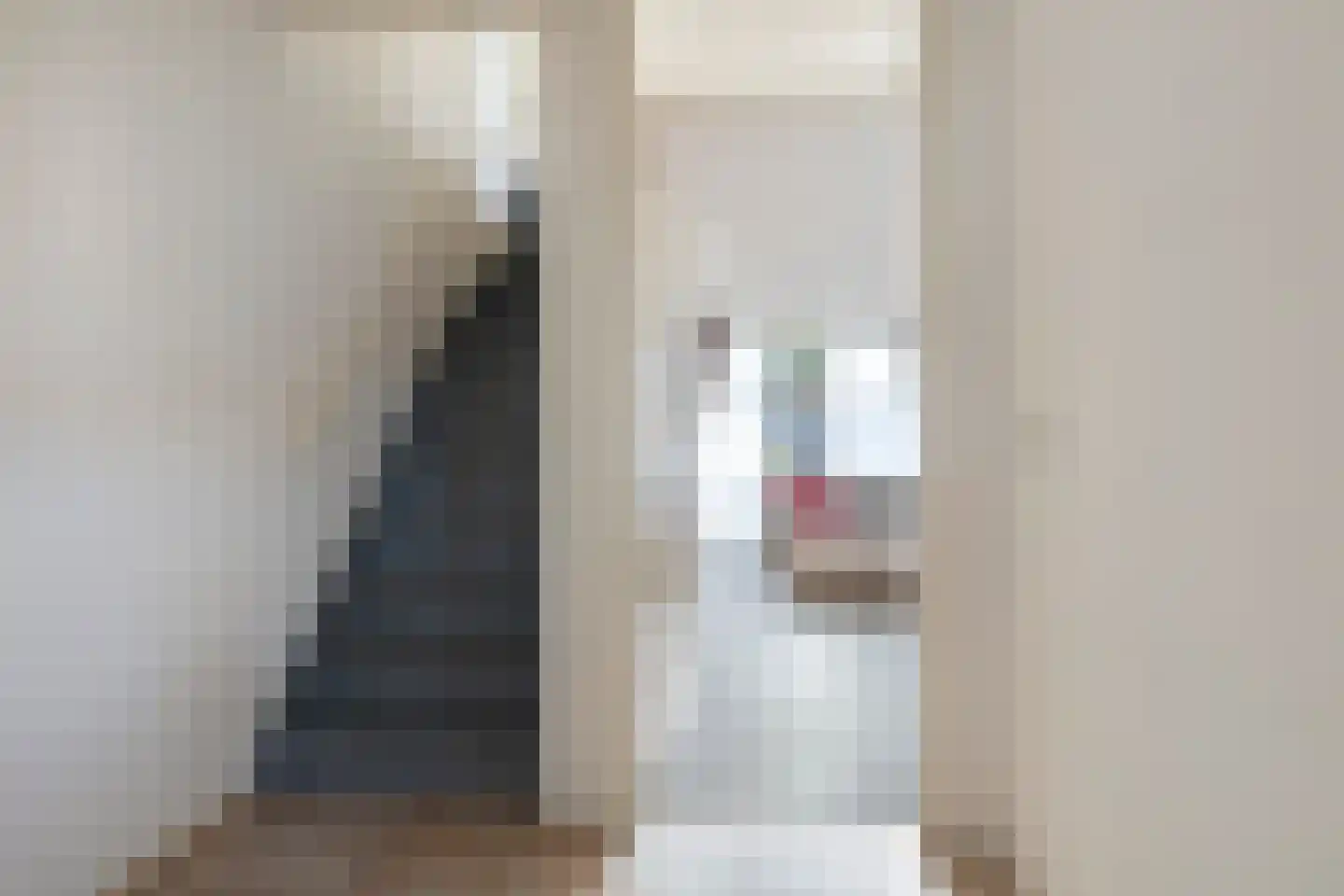 Biesveld 17 Rijsbergen thumbnail 8