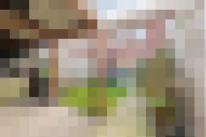 Biesveld 19 Bergeijk thumbnail 21