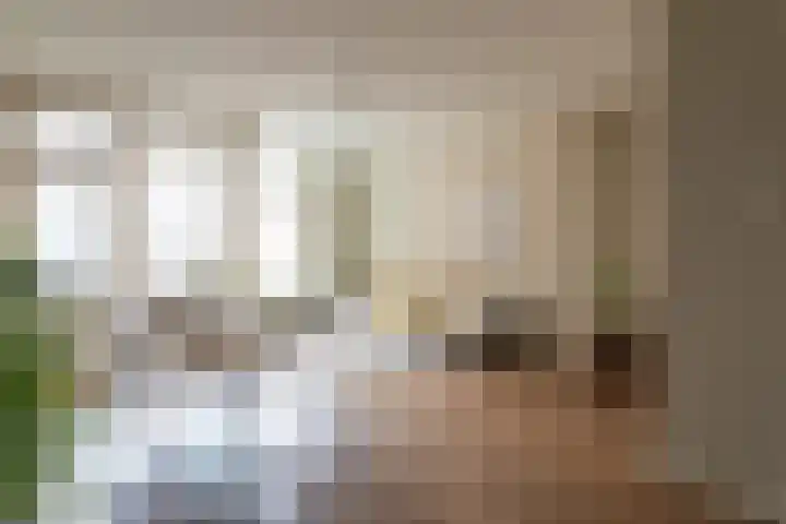 Biesveld 19 Bergeijk thumbnail 26