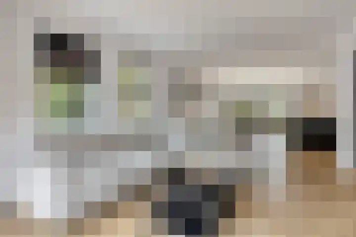 Biesveld 26 Rijsbergen thumbnail 10