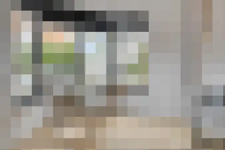 Biesveld 26 Rijsbergen thumbnail 11