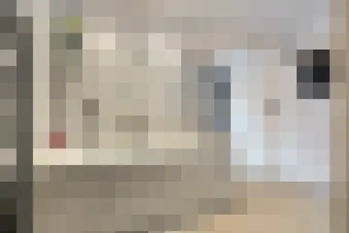 Biesveld 26 Rijsbergen thumbnail 24