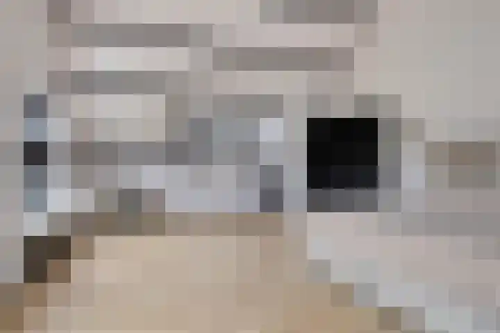 Biesveld 26 Rijsbergen thumbnail 31