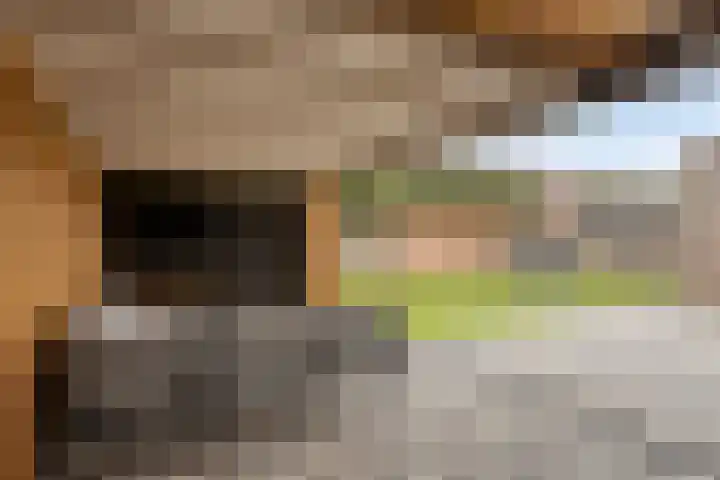Biesveld 26 Rijsbergen thumbnail 38
