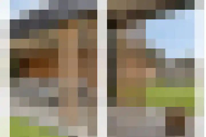 Biesveld 26 Rijsbergen thumbnail 39