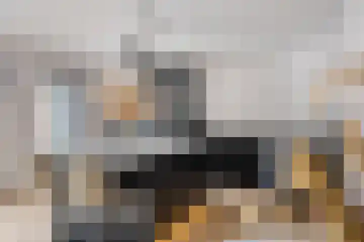 Biesveld 26 Rijsbergen thumbnail 4