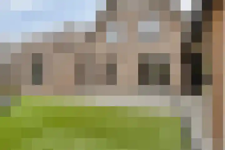 Biesveld 26 Rijsbergen thumbnail 41