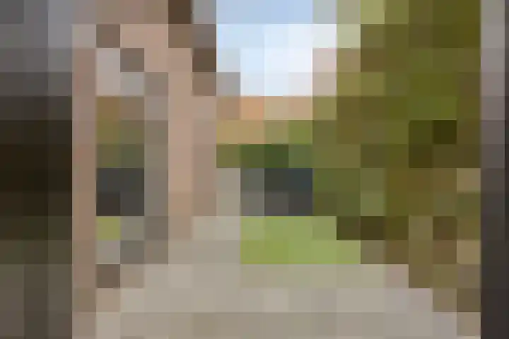 Biesveld 26 Rijsbergen thumbnail 42