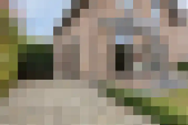 Biesveld 26 Rijsbergen thumbnail 43