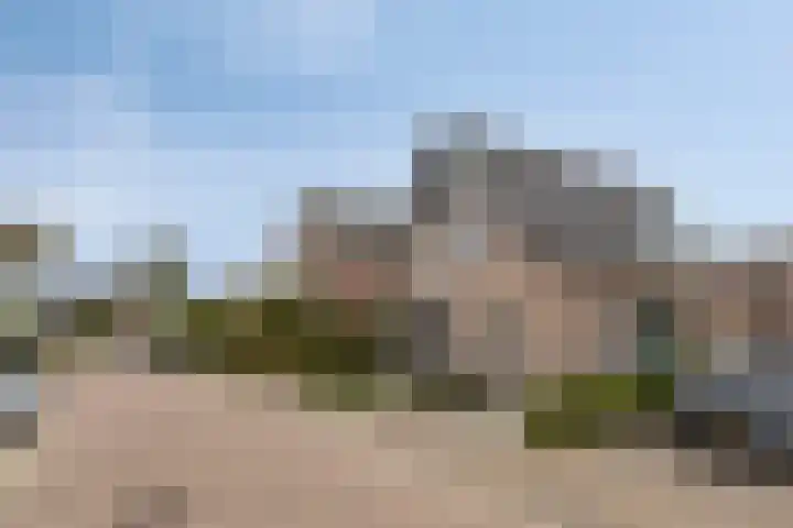 Biesveld 26 Rijsbergen thumbnail 46