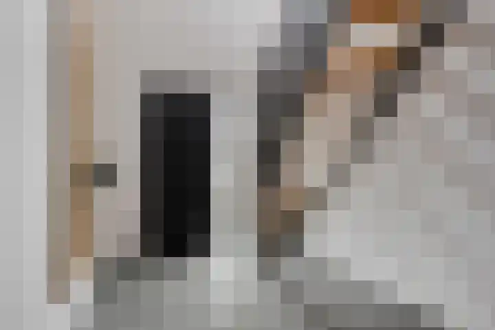 Biesveld 26 Rijsbergen thumbnail 6
