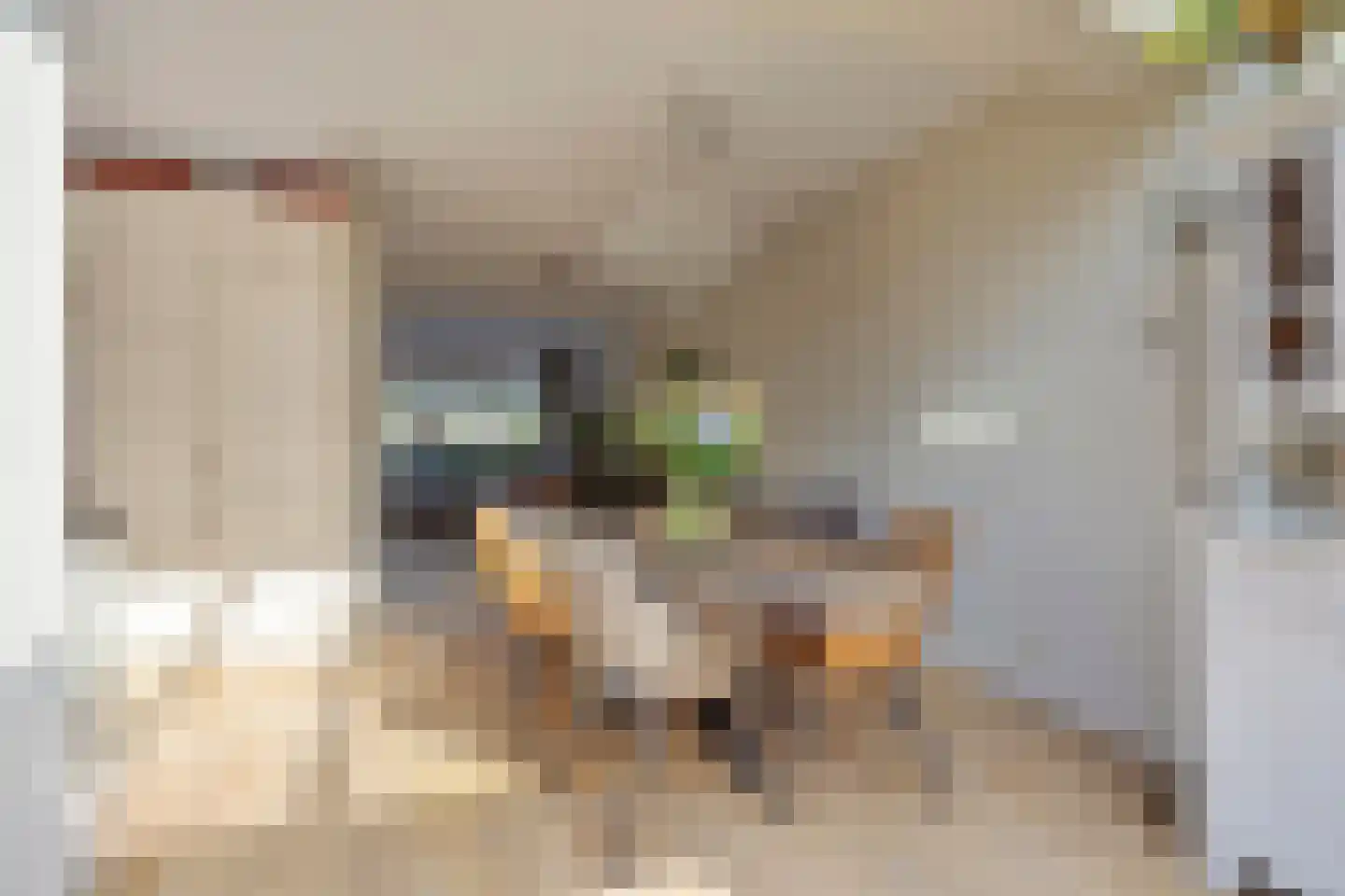 Biesveld 27 Rijsbergen thumbnail 15