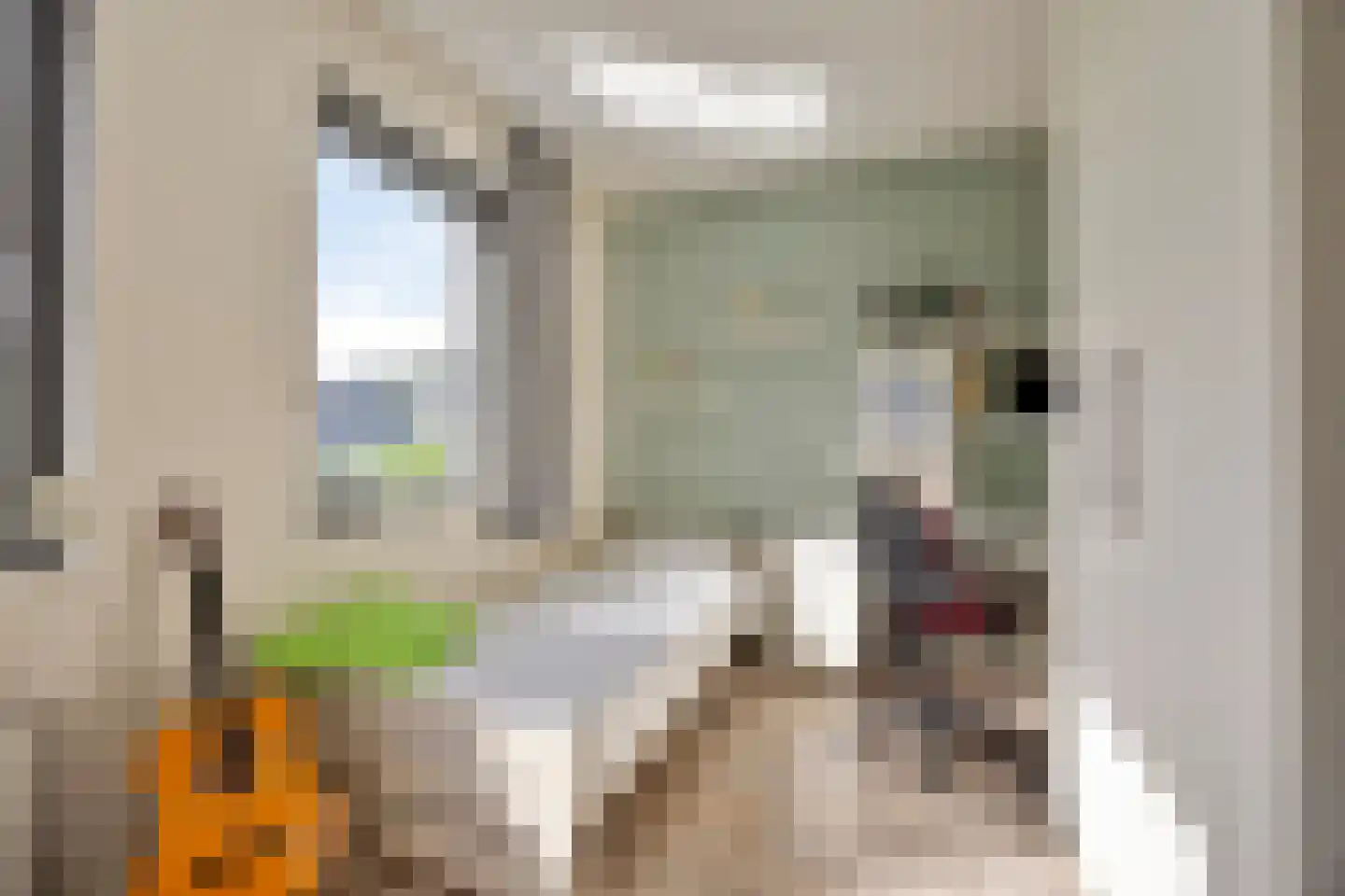Biesveld 27 Rijsbergen thumbnail 26