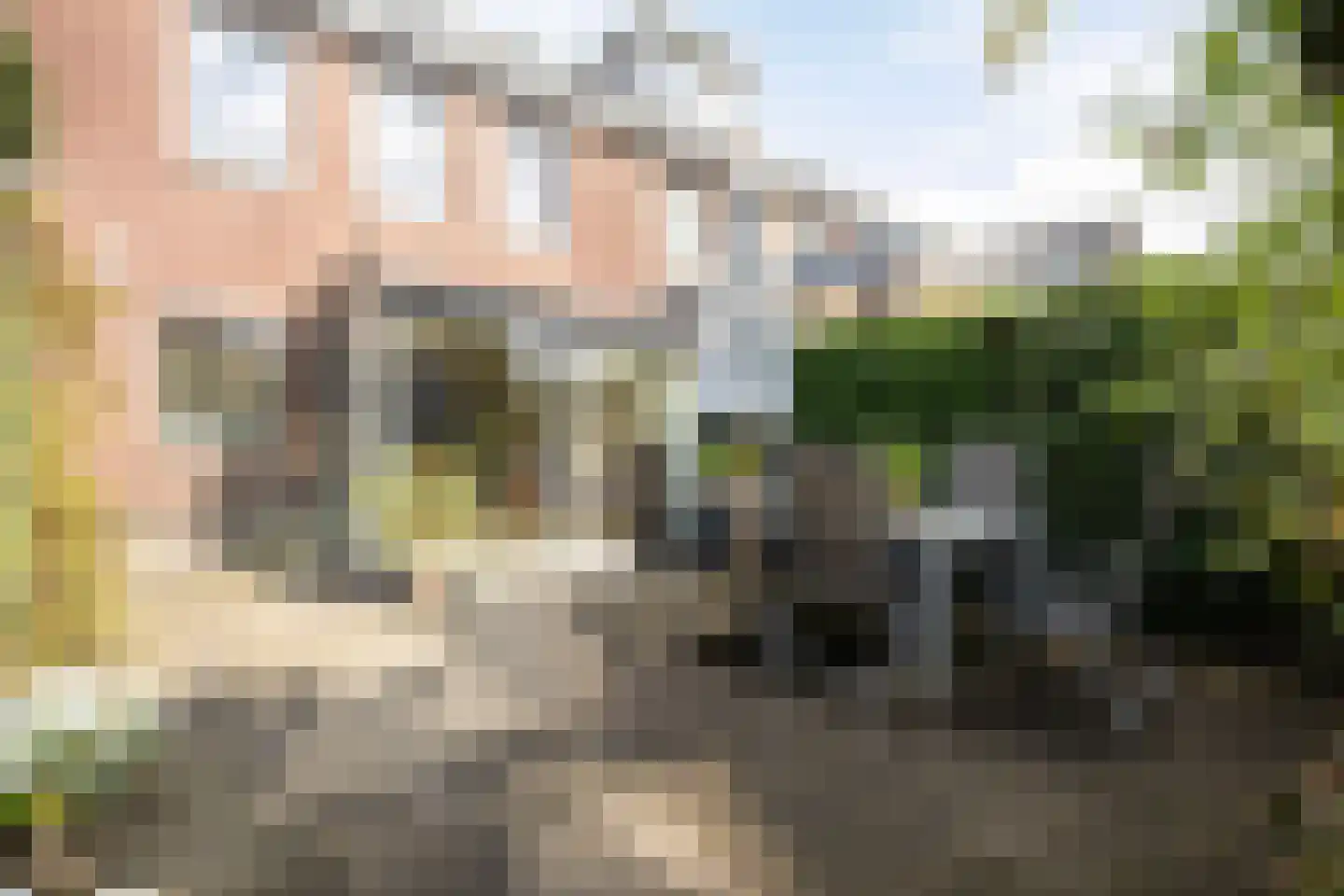 Biesveld 27 Rijsbergen thumbnail 32