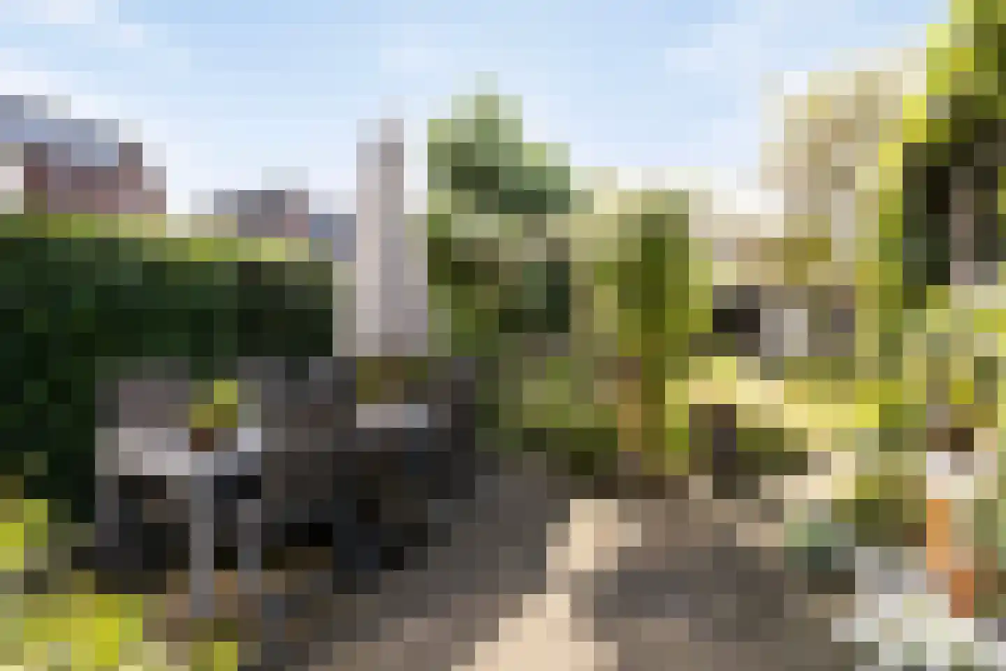 Biesveld 27 Rijsbergen thumbnail 33