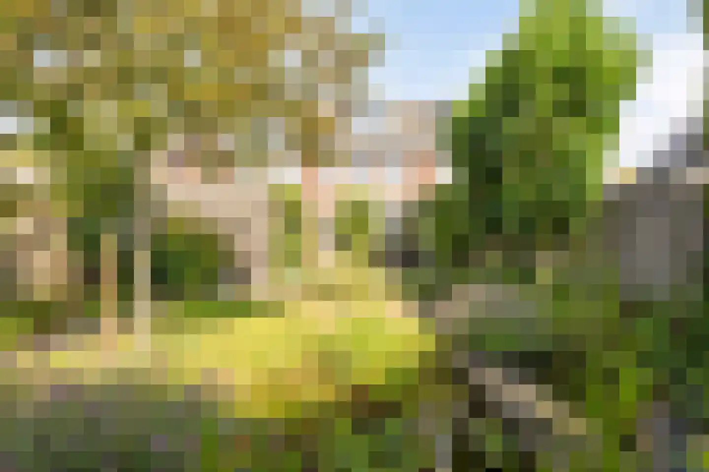 Biesveld 27 Rijsbergen thumbnail 34