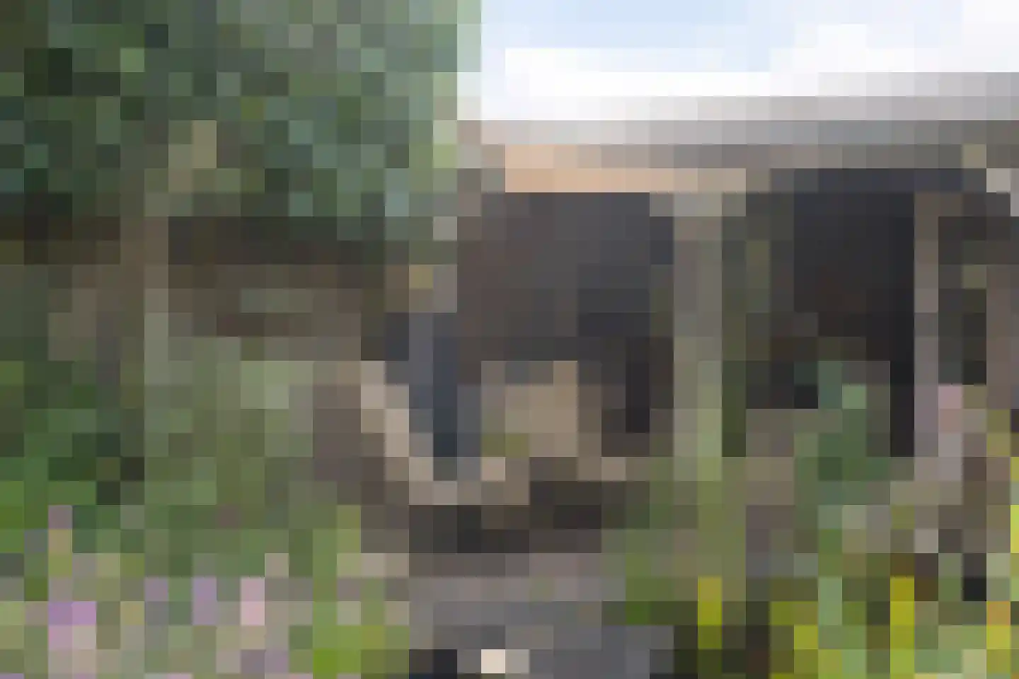 Biesveld 27 Rijsbergen thumbnail 4
