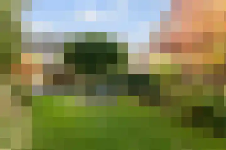 Biesveld 4 Rijsbergen thumbnail 4