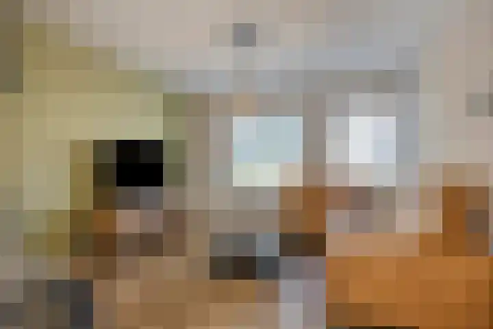 Biesveld 7 Someren thumbnail 14