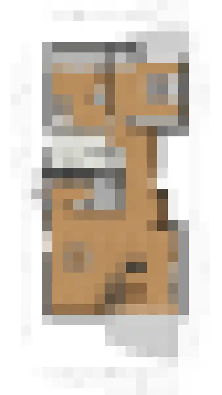 Biesveld 7 Someren thumbnail 15