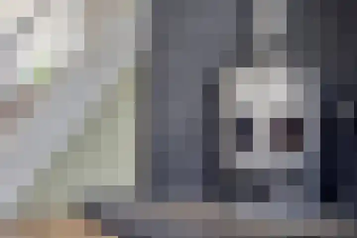 Biesveld 7 Someren thumbnail 17