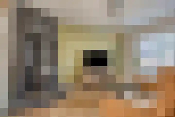 Biesveld 7 Someren foto 2