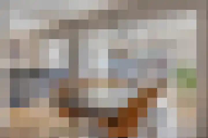 Biesveld 7 Someren thumbnail 21