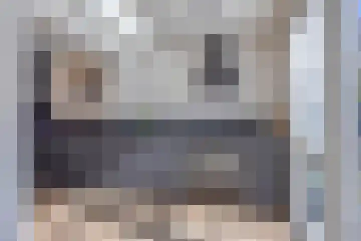 Biesveld 7 Someren thumbnail 25