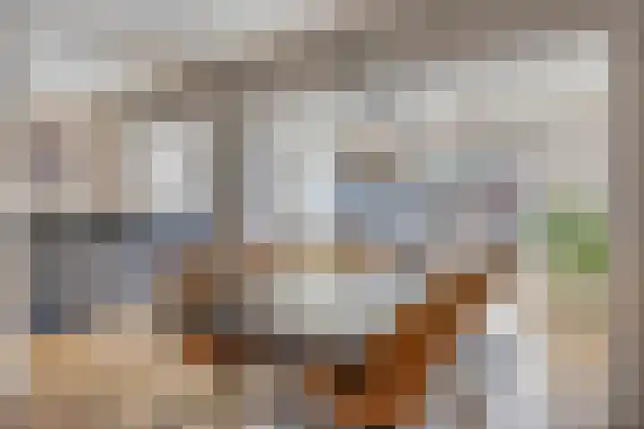 Biesveld 7 Someren foto 3