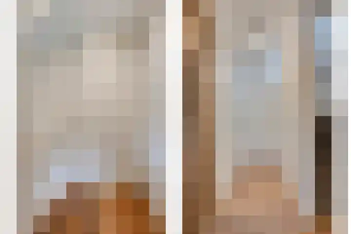 Biesveld 7 Someren thumbnail 30